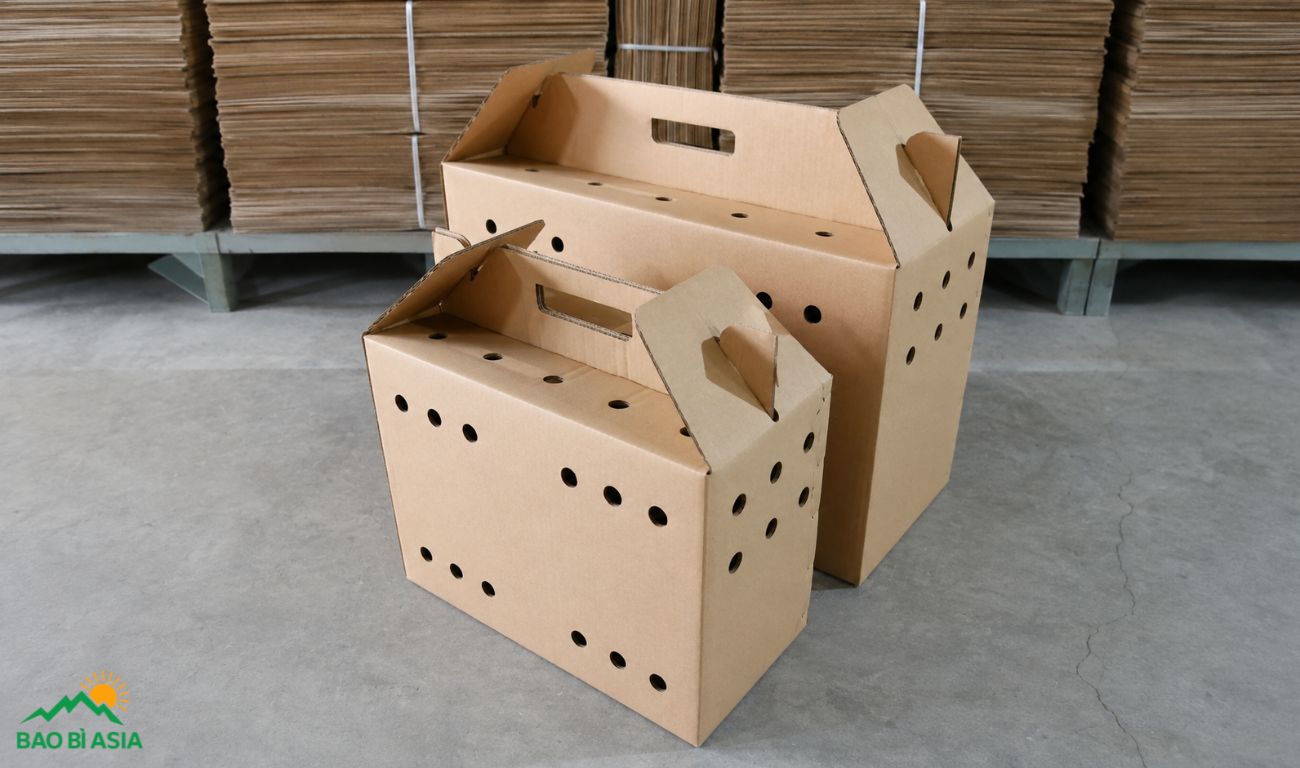 Thùng carton có lỗ