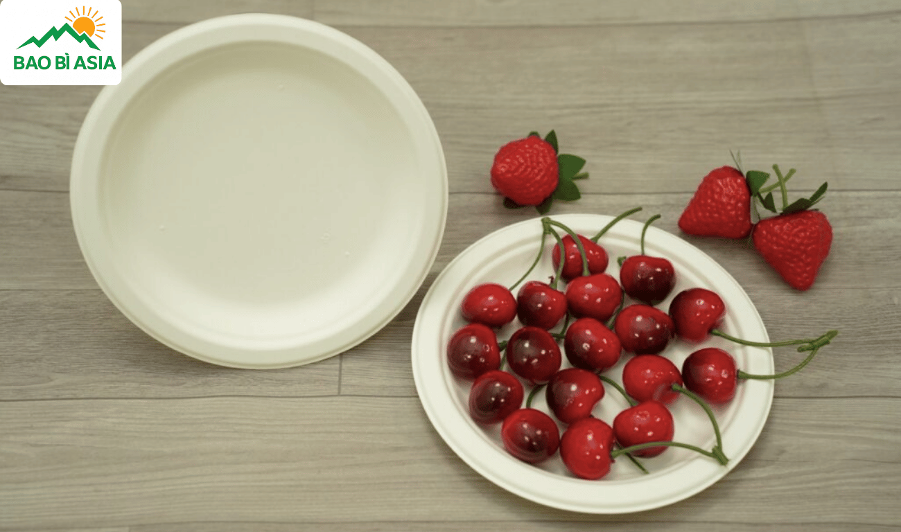 Tại sao nên dùng đĩa giấy?