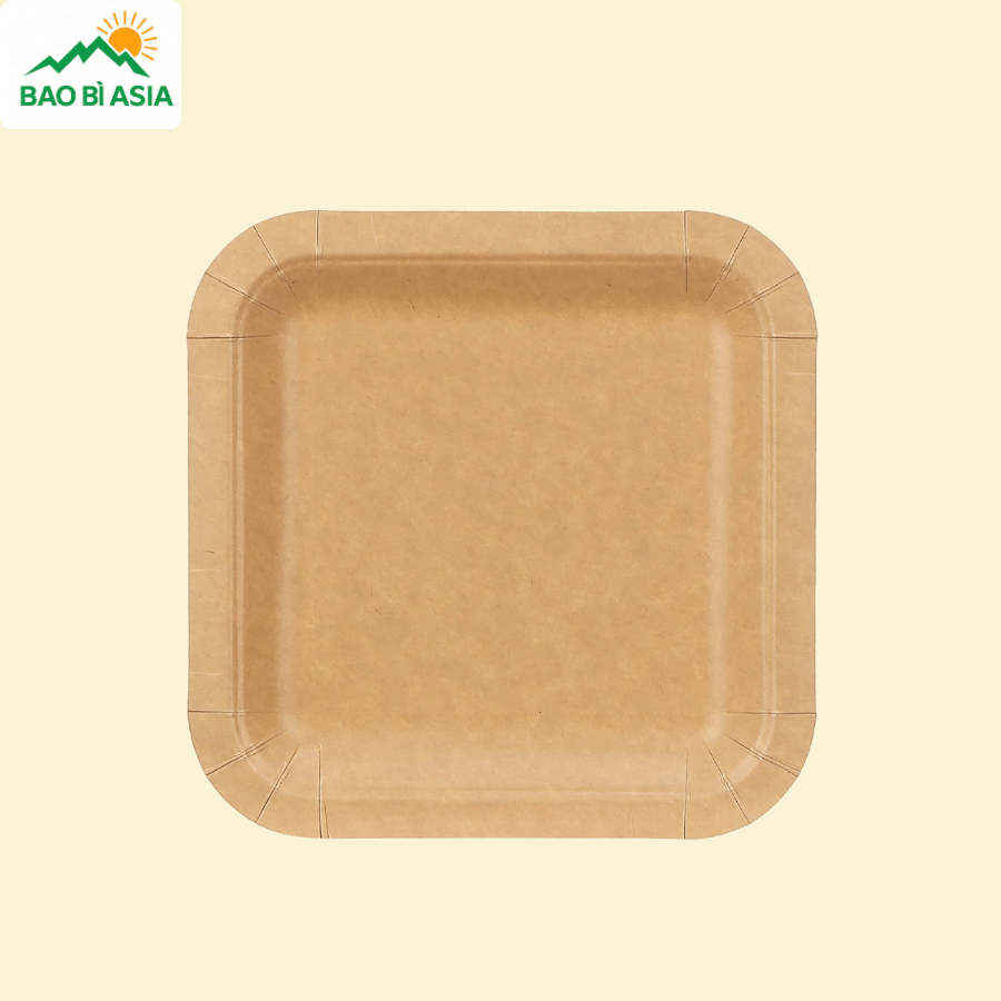 Đĩa giấy mẫu 03