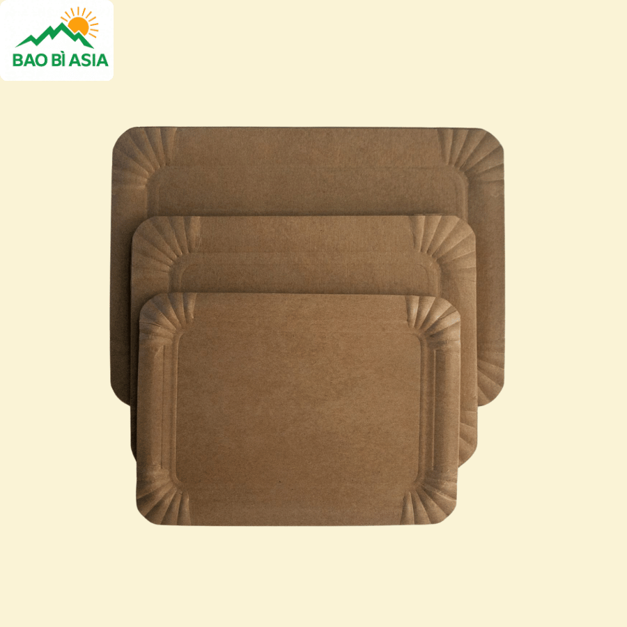 Đĩa giấy mẫu 04