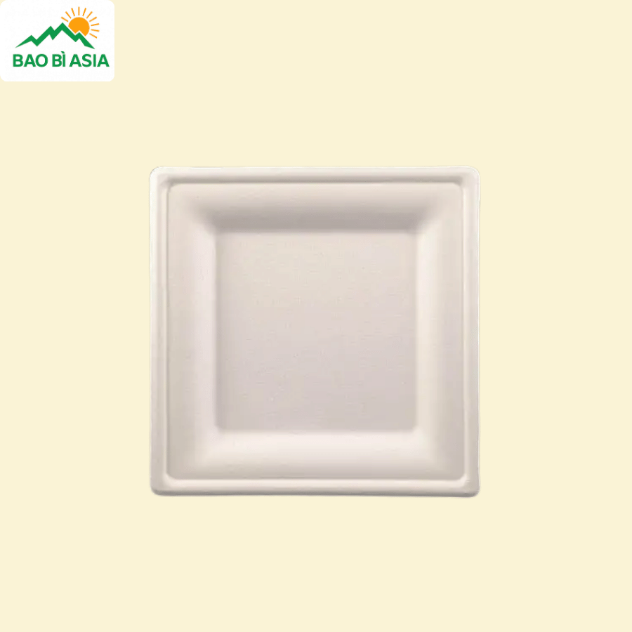 Đĩa giấy mẫu 08