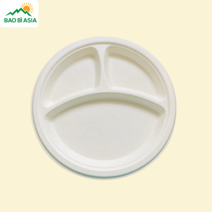 Đĩa giấy mẫu 09