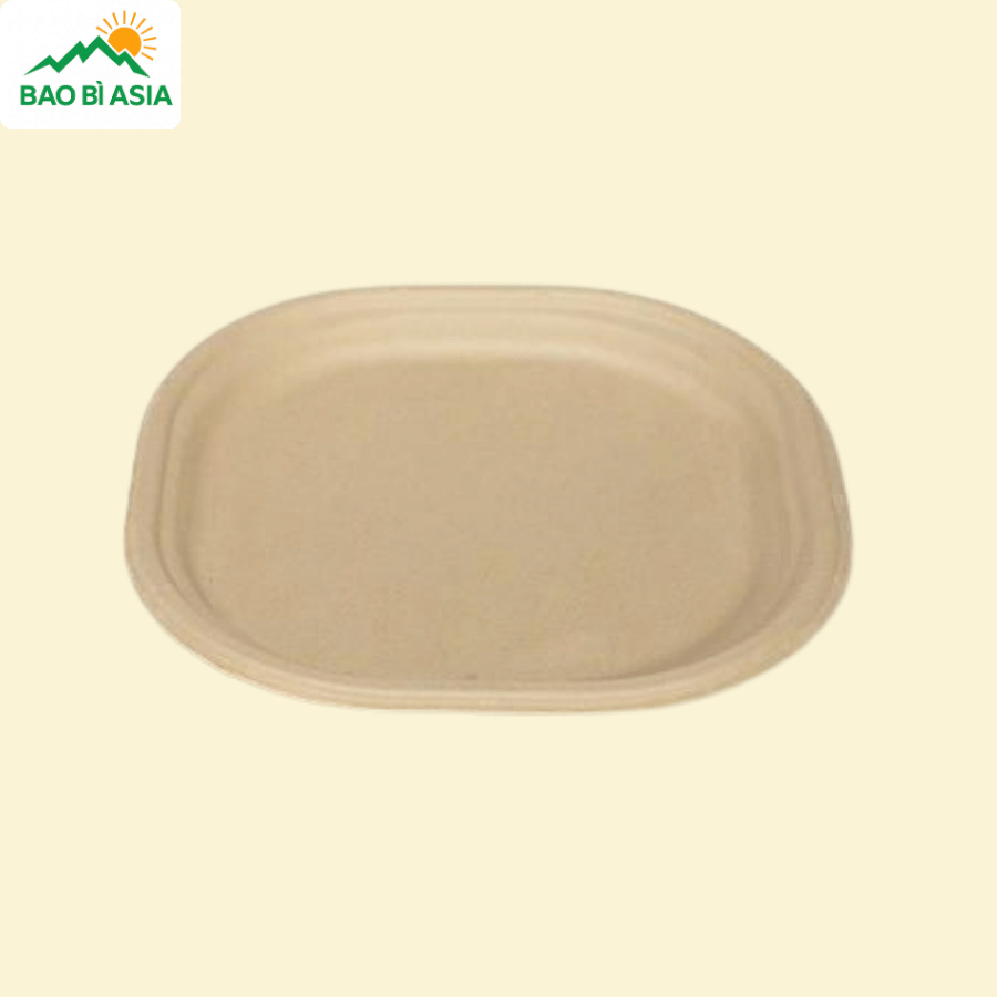 Đĩa giấy mẫu 10