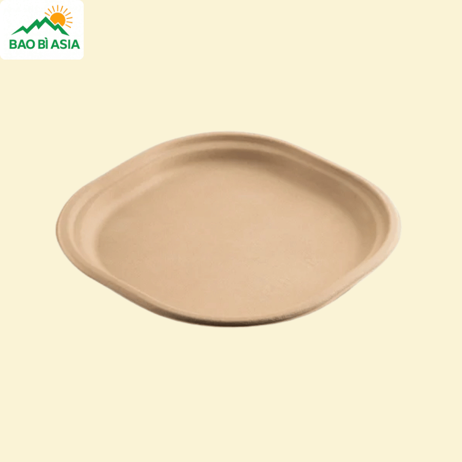 Đĩa giấy mẫu 11