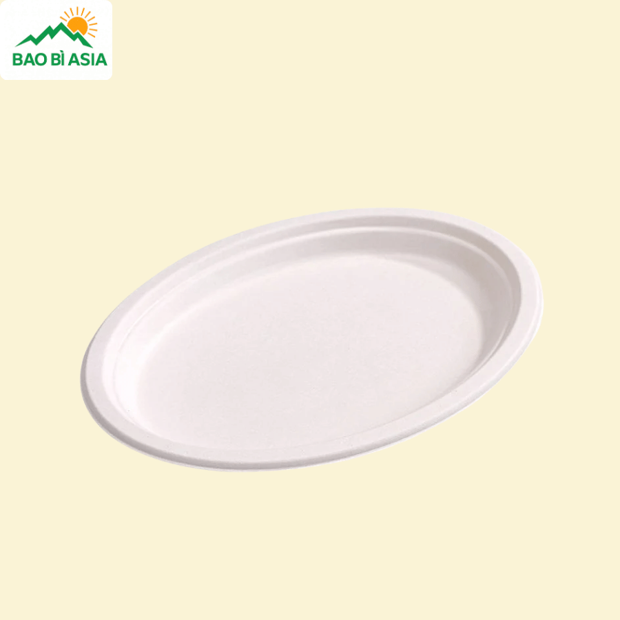 Đĩa giấy mẫu 12