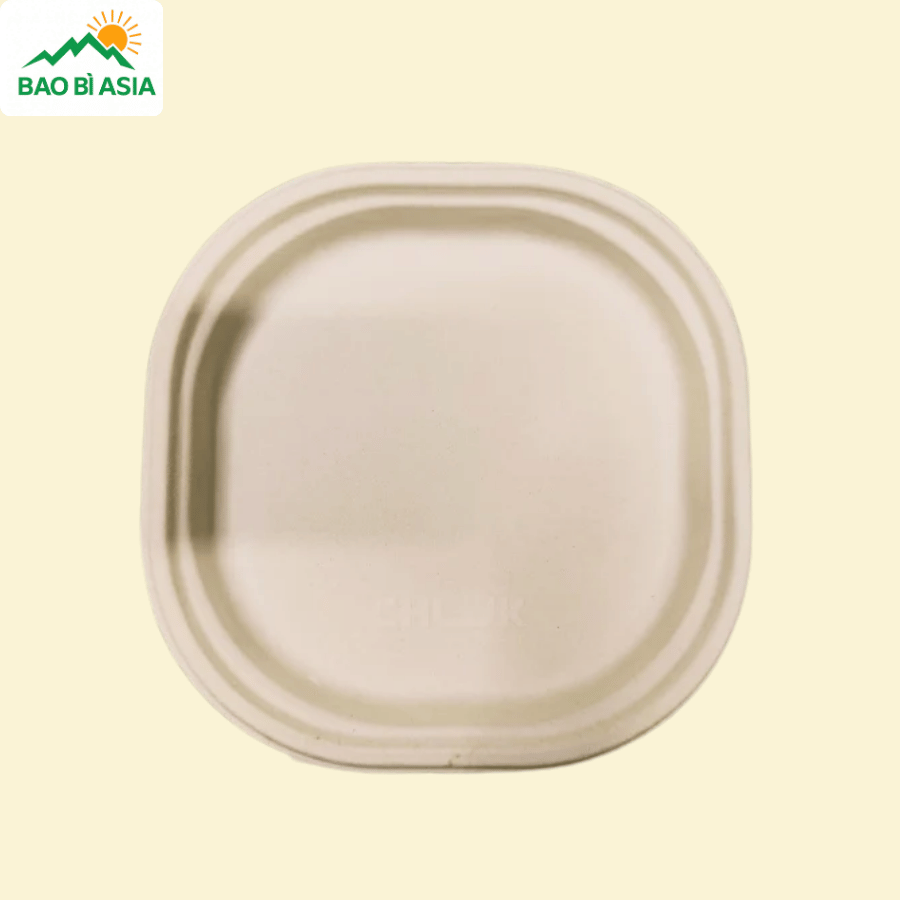 Đĩa giấy mẫu 13