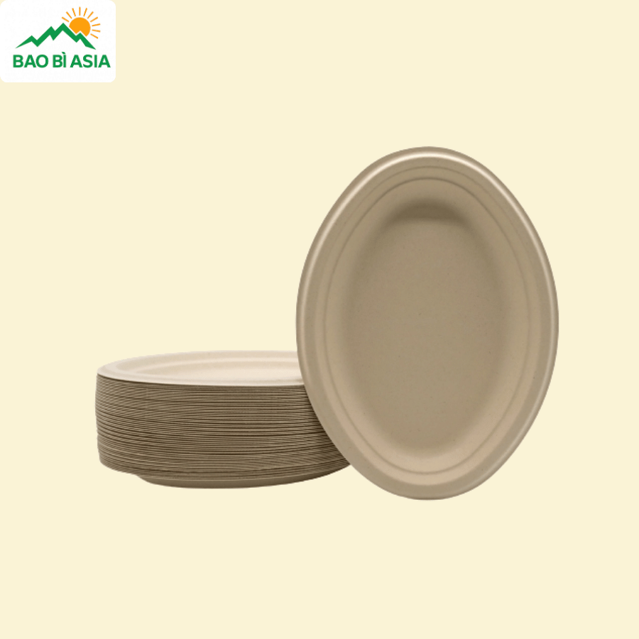 Đĩa giấy mẫu 14