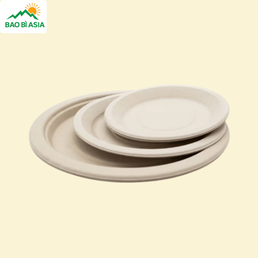 Đĩa giấy mẫu 16