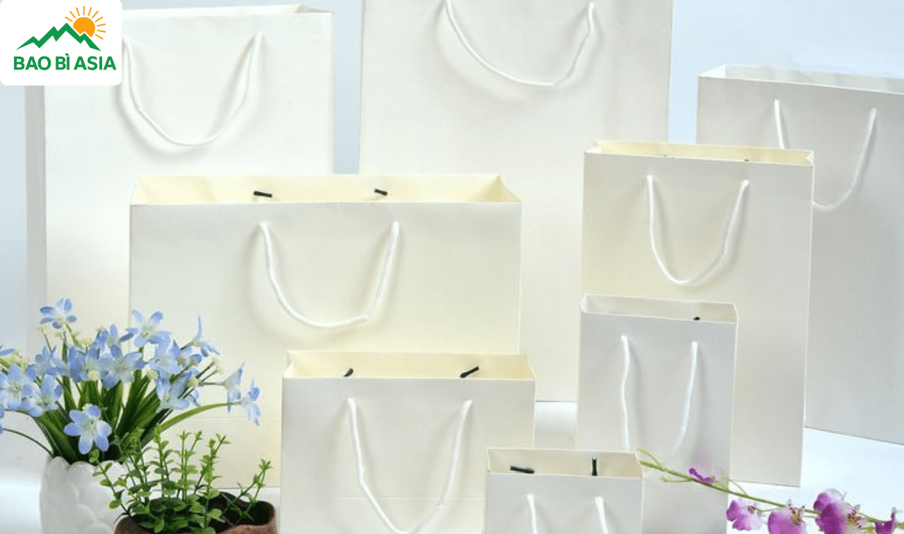 Túi giấy đựng quà cho sự kiện, hội nghị