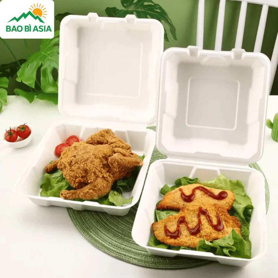 Hộp bã mía đẹp mẫu 1