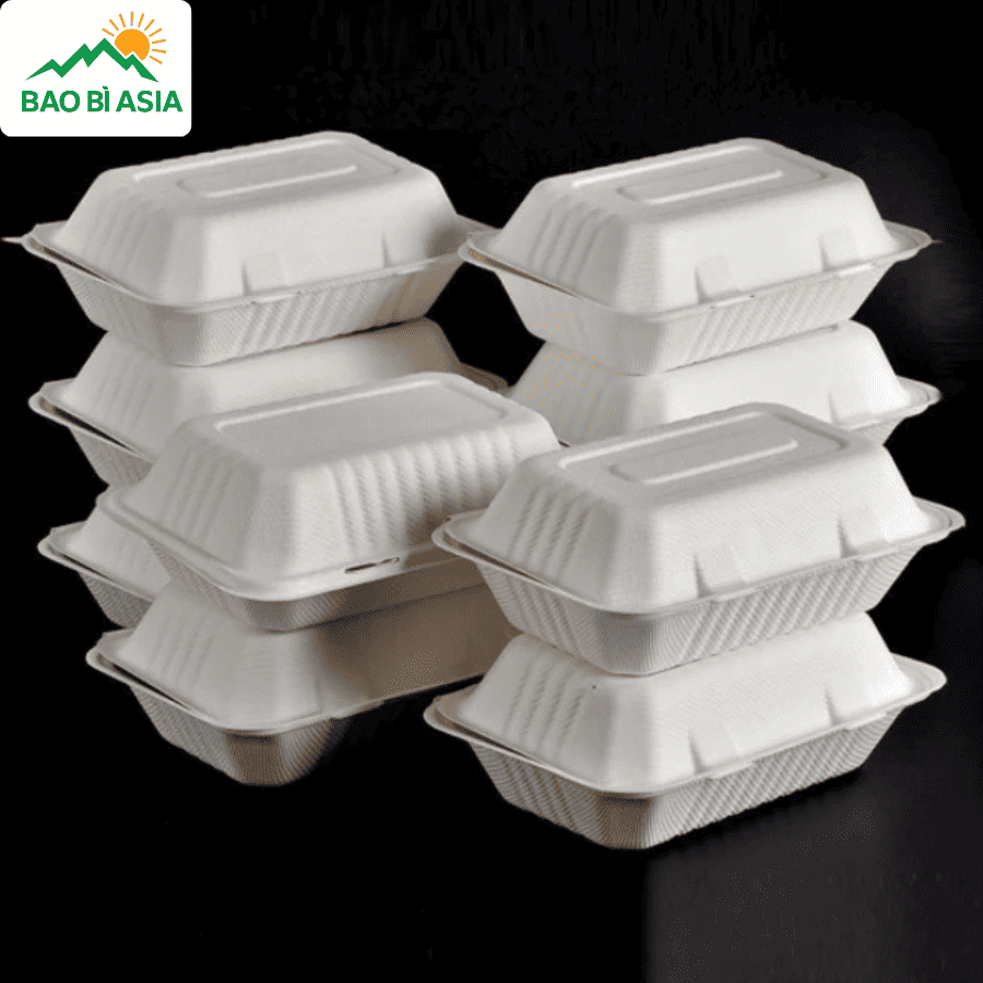 Hộp bã mía đẹp mẫu 10