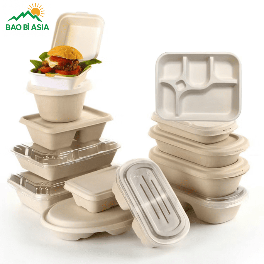 Hộp bã mía đẹp mẫu 13