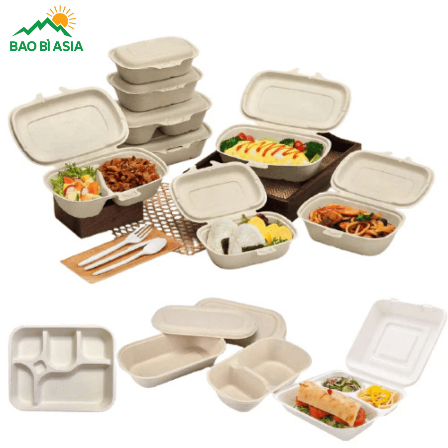 Hộp bã mía đẹp mẫu 14