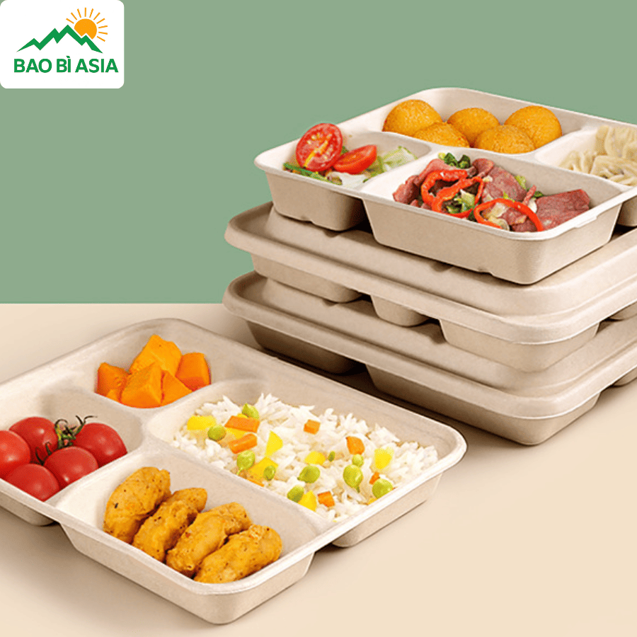 Hộp bã mía đẹp mẫu 15