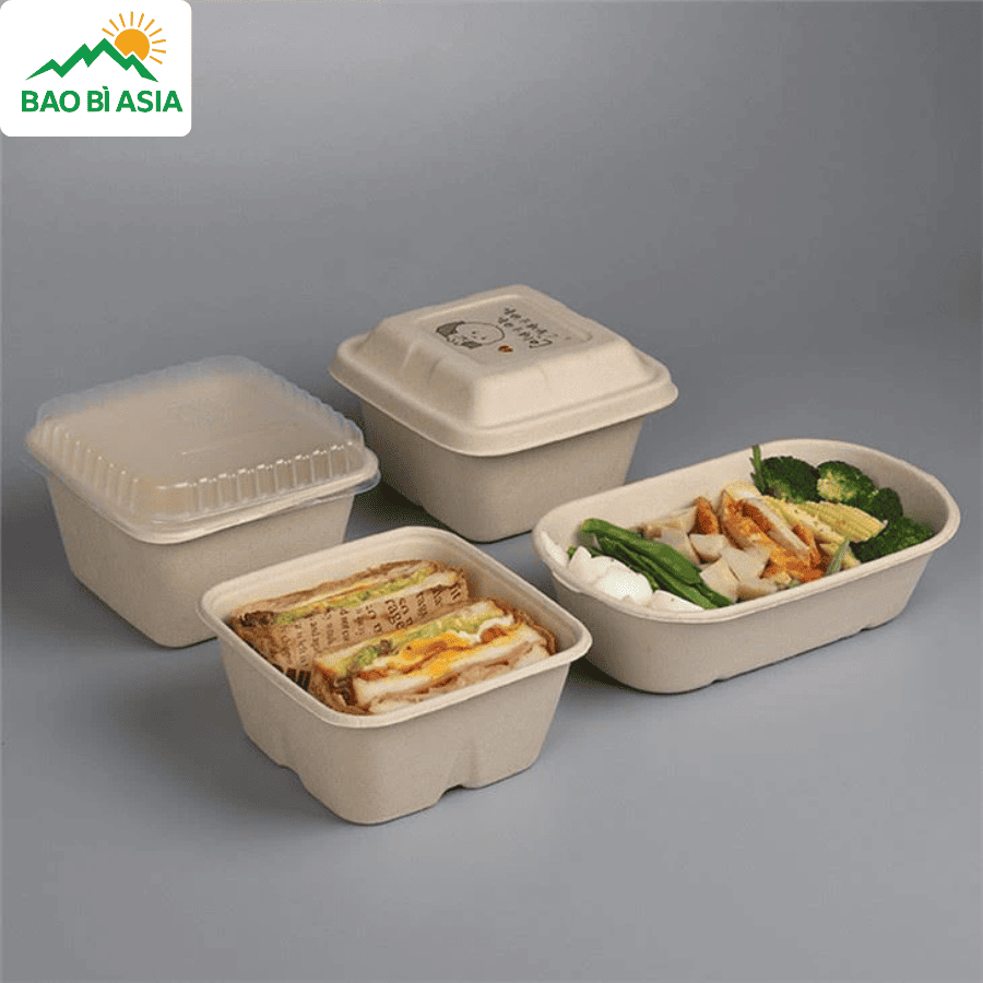 Hộp bã mía đẹp mẫu 16