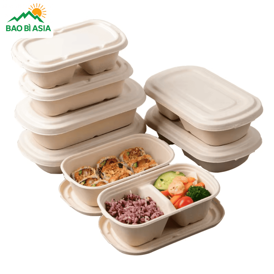 Hộp bã mía đẹp mẫu 17