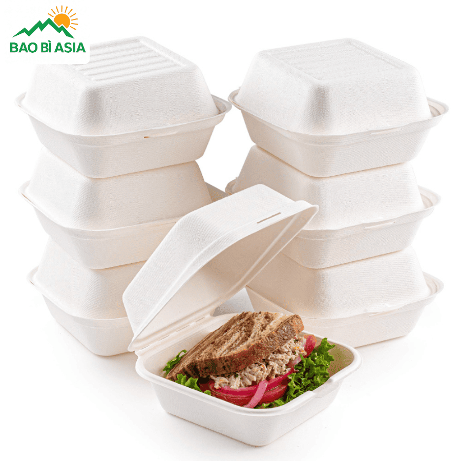 Hộp bã mía đẹp mẫu 19