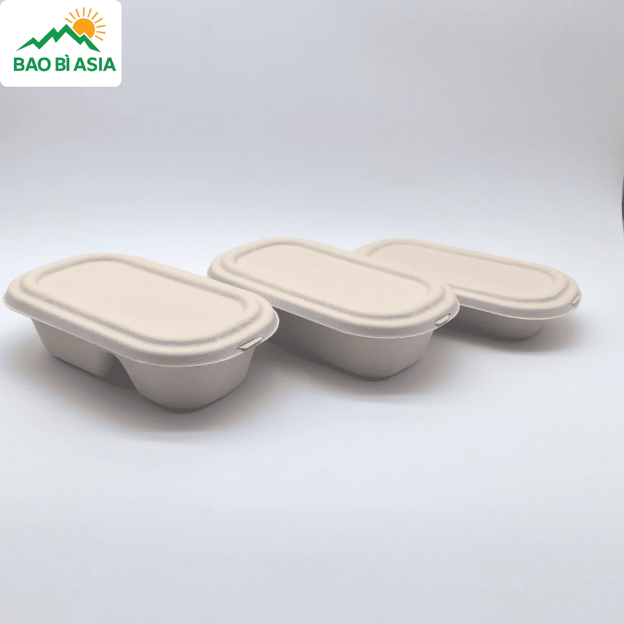 Hộp bã mía đẹp mẫu 21