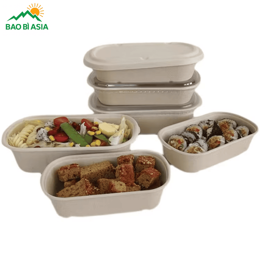 Hộp bã mía đẹp mẫu 23