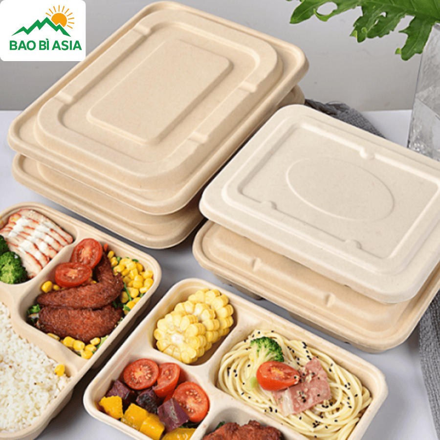 Hộp bã mía đẹp mẫu 24