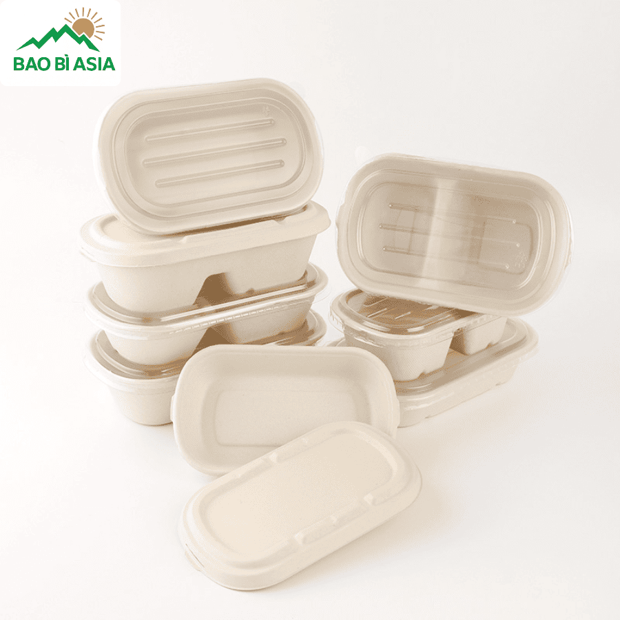 Hộp bã mía đẹp mẫu 25