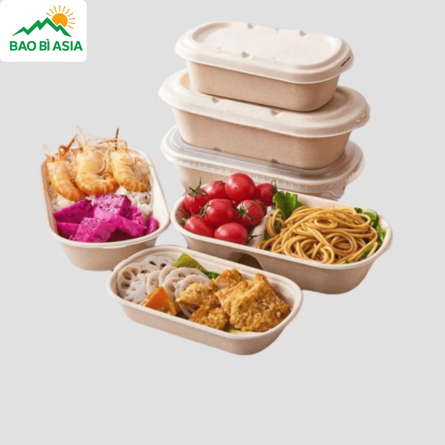 Hộp bã mía đẹp mẫu 3