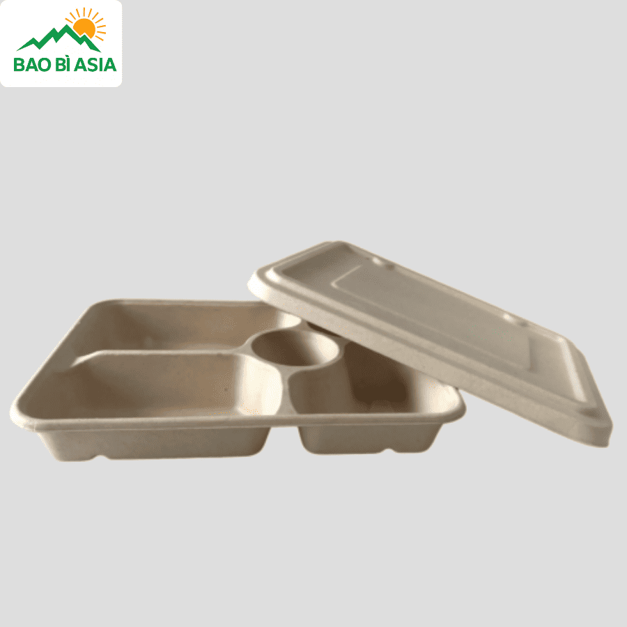 Hộp bã mía đẹp mẫu 5