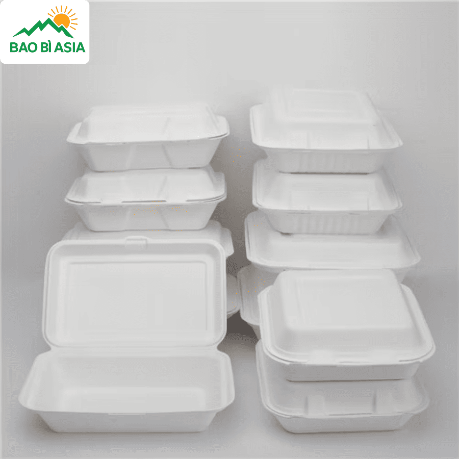 Hộp bã mía đẹp mẫu 6