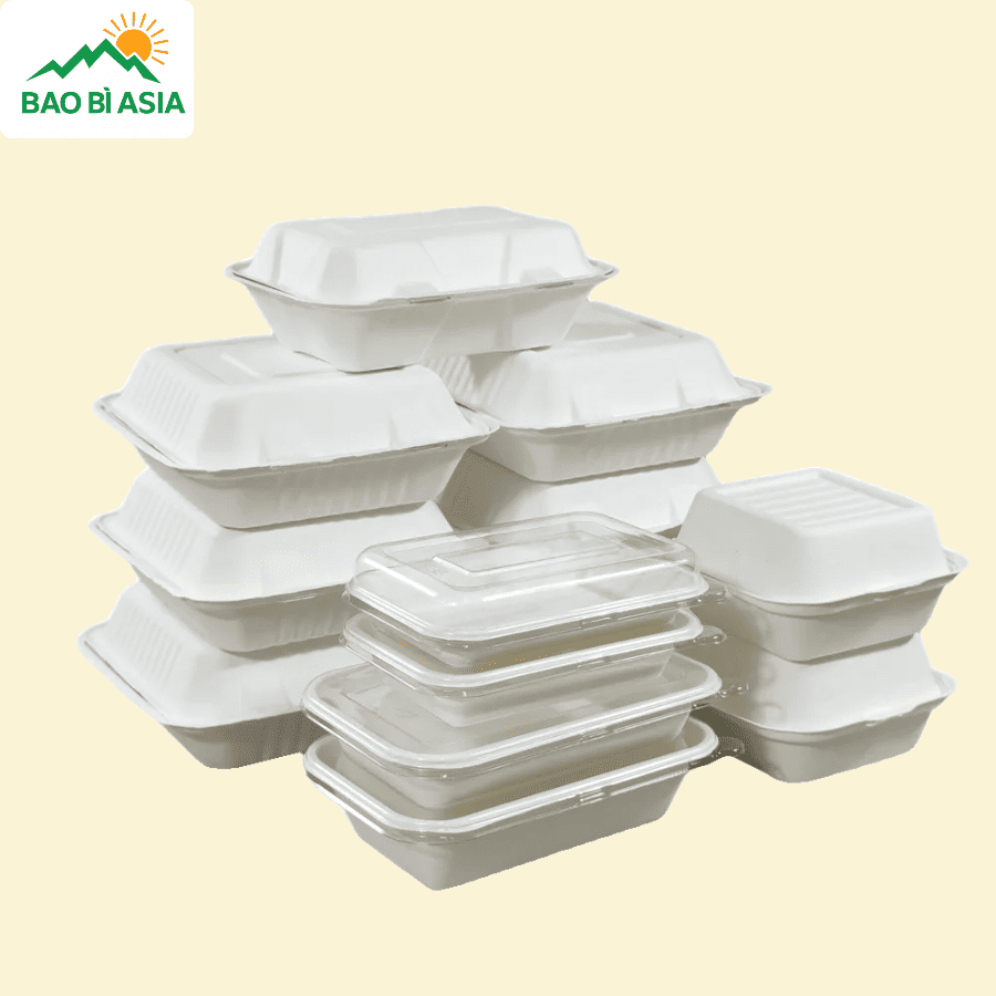 Hộp bã mía đẹp mẫu 7