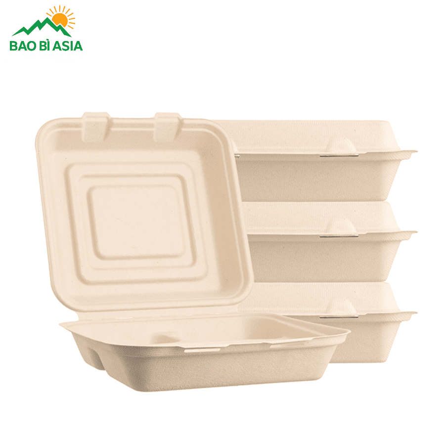 Hộp bã mía đẹp mẫu 8