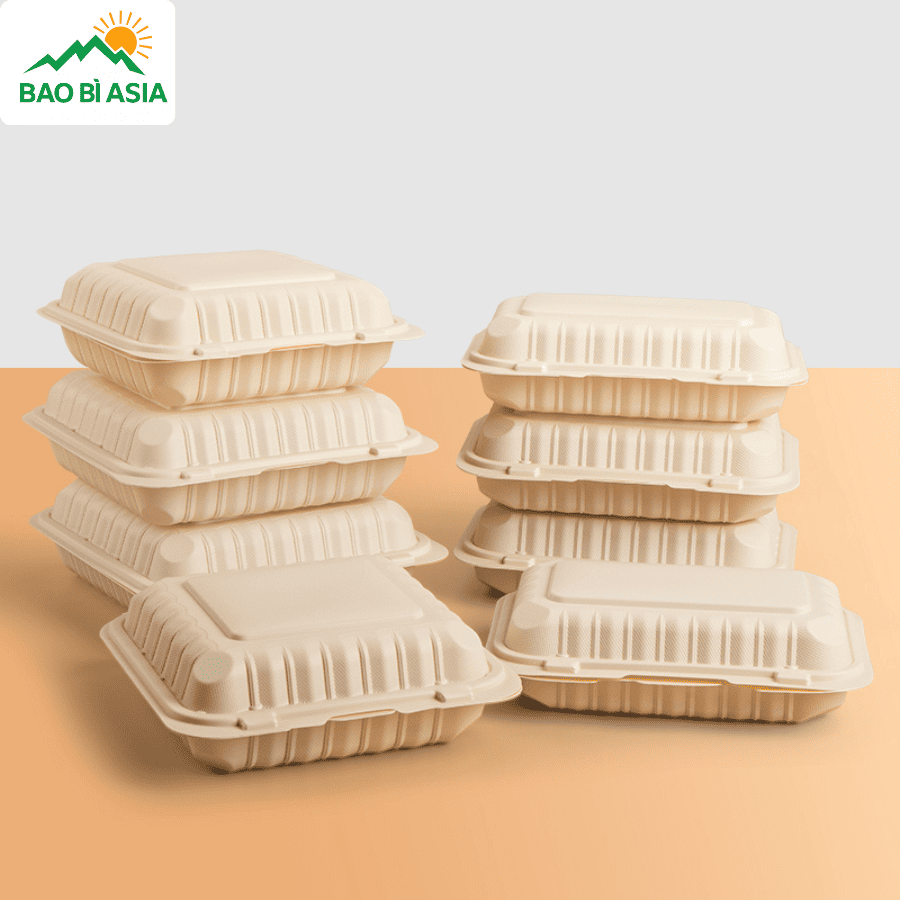 Hộp bã mía đẹp mẫu 9