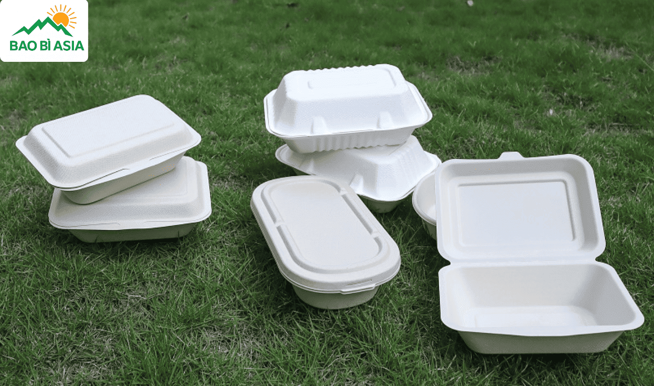 Hộp bã mía thân thiện môi trường