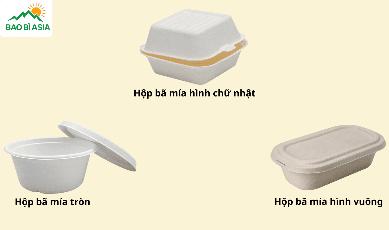 Hộp bã mía phân loại theo kiểu dáng