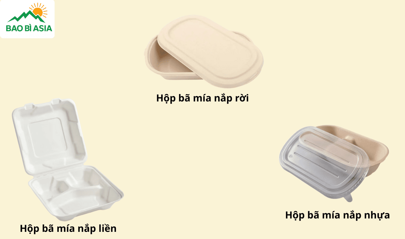 Hộp bã mía phân loại theo kiểu nắp