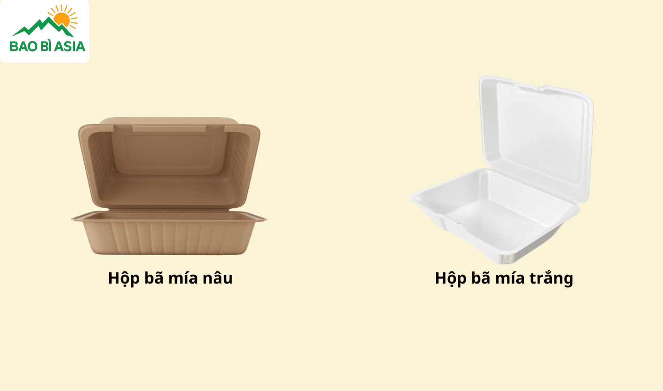 Hộp bã mía phân loại theo màu sắc