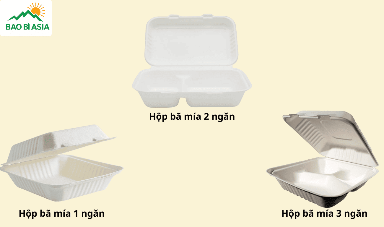 Hộp bã mía phân loại theo số ngắn