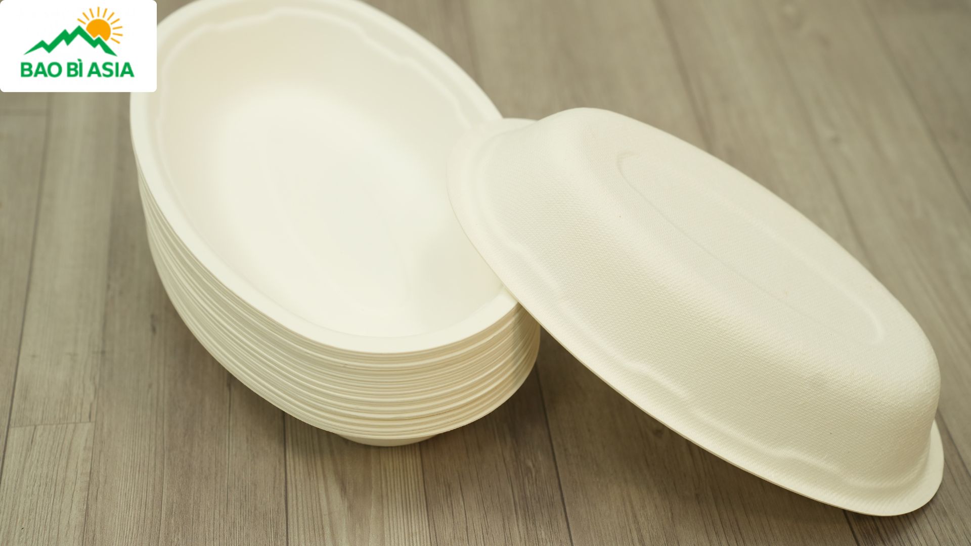 Khay giấy tiêu chuẩn