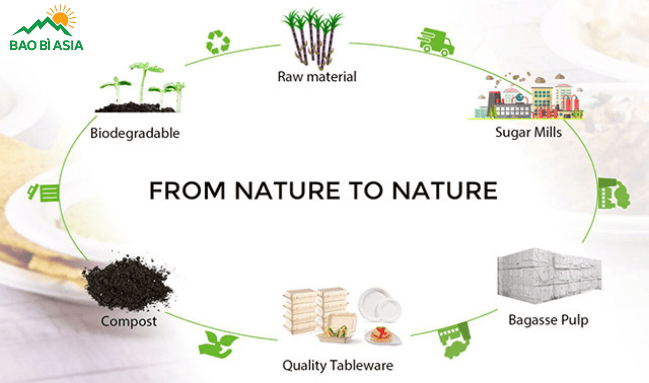 Quy trình sản xuất hộp bã mía