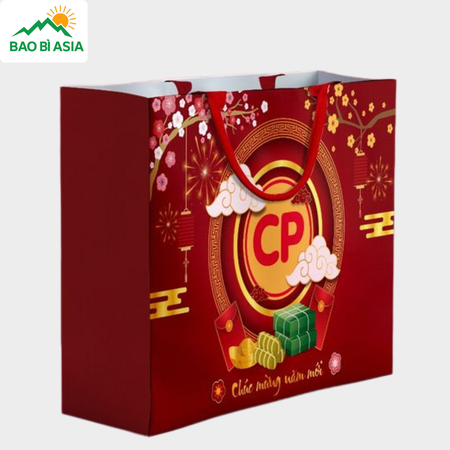 Túi giấy đựng quà mẫu 17
