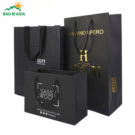 Túi giấy đựng quà mẫu 2