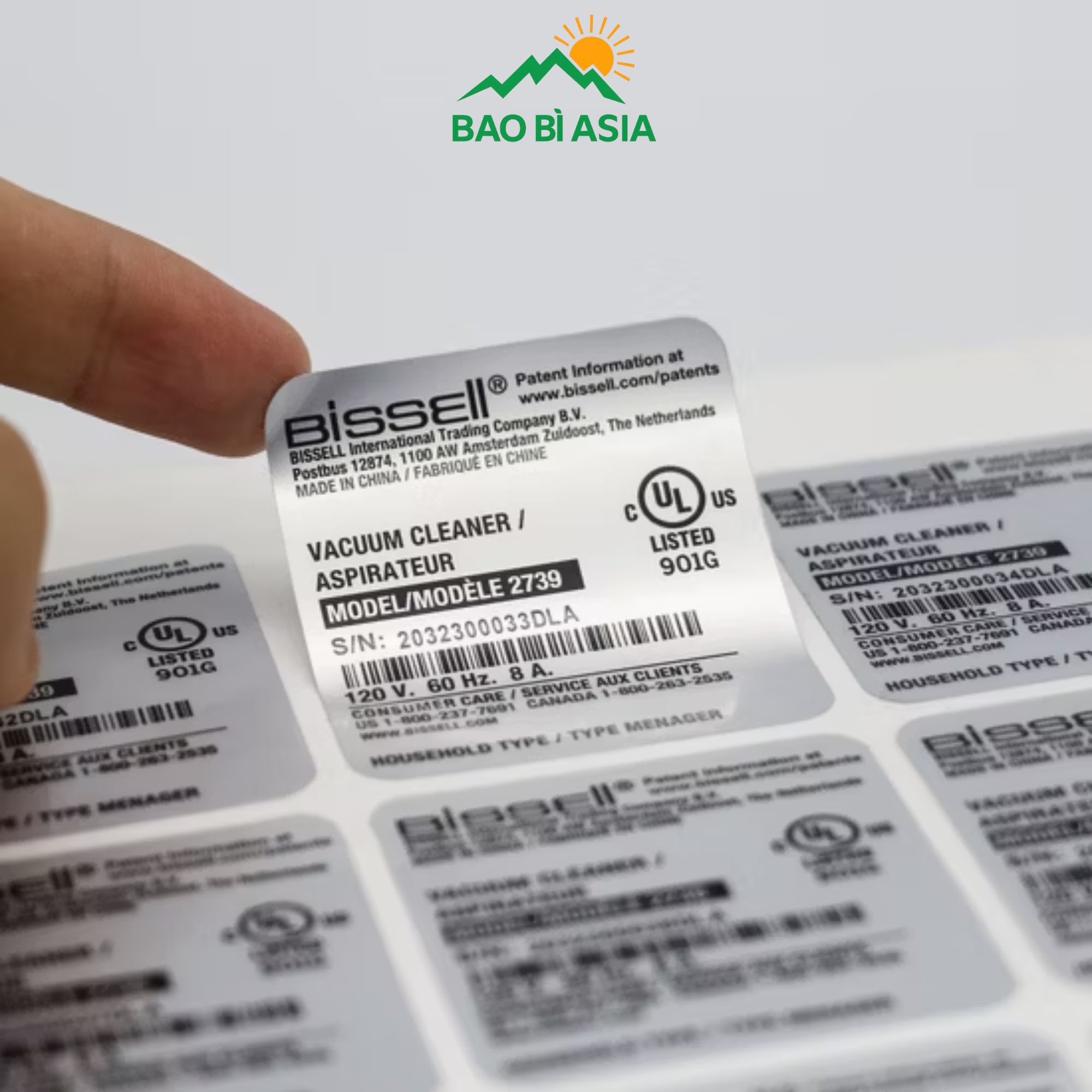 Tem decal xi bạc 29