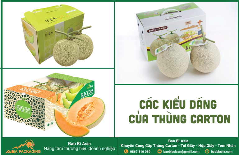 Các kiểu dáng của thùng carton đựng dưa lưới