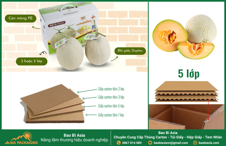 Cấu tạo của thùng carton đựng dưa lưới