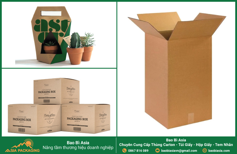 Một số thùng carton đựng cây cảnh