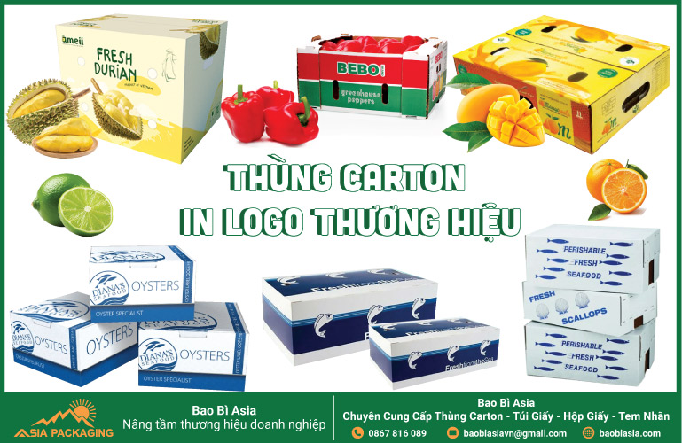 Thùng carton in logo thương hiệu