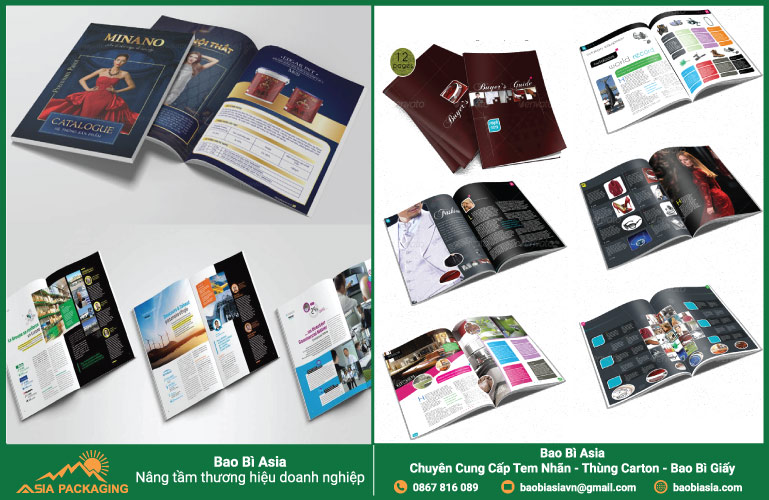 Một số mẫu catalogue hiện nay