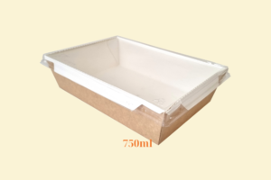 HGK11 – Hộp Kraft nắp PET 750 ml