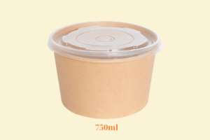 HGK12 – Hộp Kraft nắp PP 750 ml
