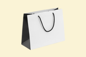 TG03 Túi Kraft Trắng Cao Cấp 35 x 12 x 25 cm