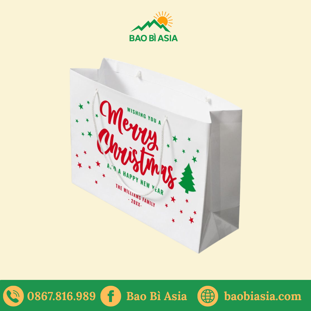 TG05 Túi Giấy In Hoạ Tiết Noel 18 x 8 x 22 cm